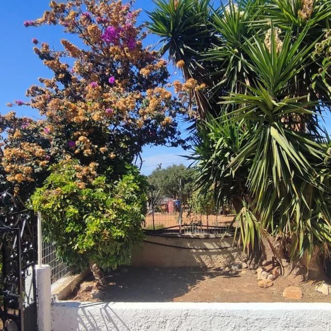 Olive Grove Cottage Skalani Knossós エクステリア 写真