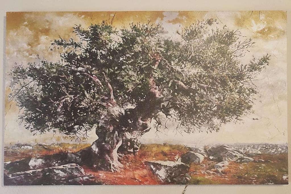 Olive Grove Cottage Skalani Knossós エクステリア 写真
