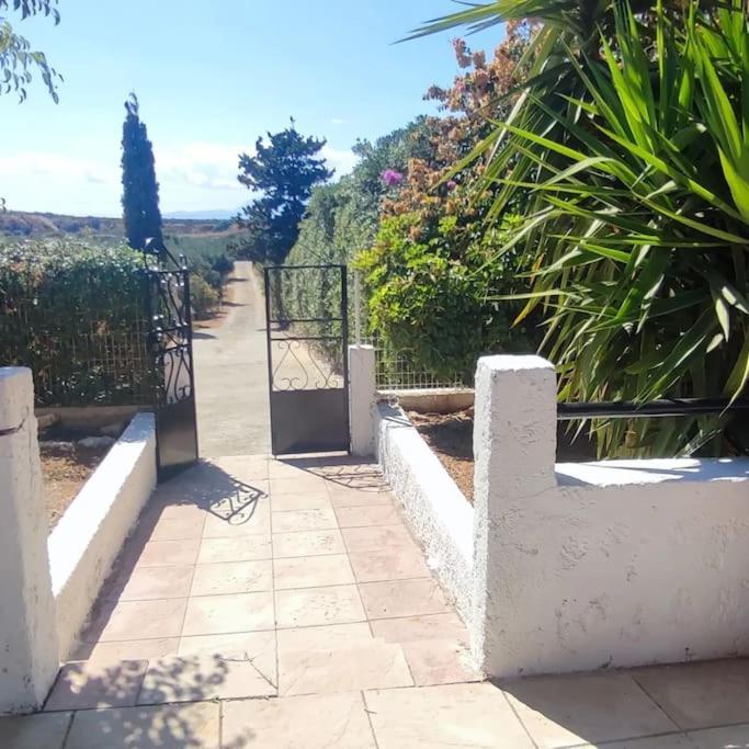 Olive Grove Cottage Skalani Knossós エクステリア 写真