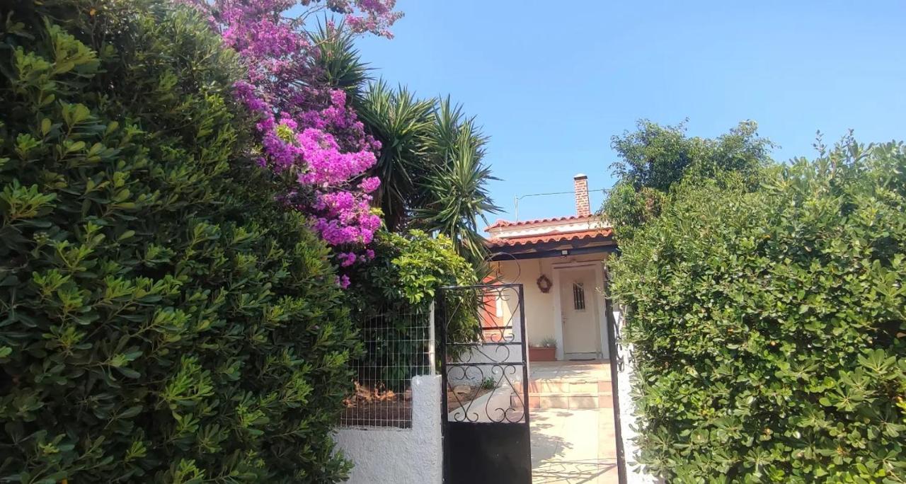 Olive Grove Cottage Skalani Knossós エクステリア 写真