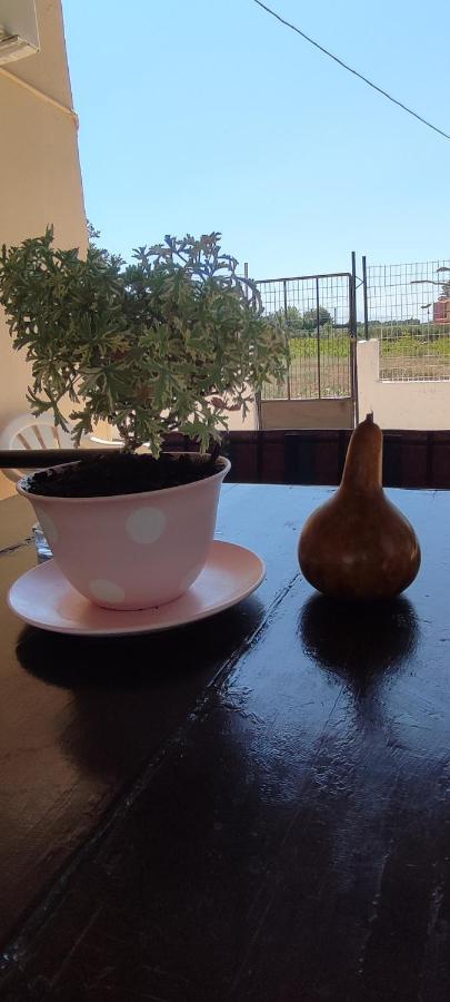 Olive Grove Cottage Skalani Knossós エクステリア 写真